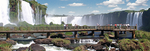 Ana Luiza Bado  Florianópolis SC