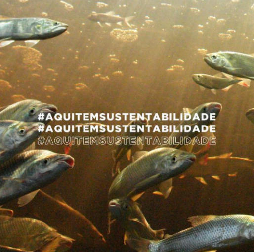 AQUITEMCOPASA 